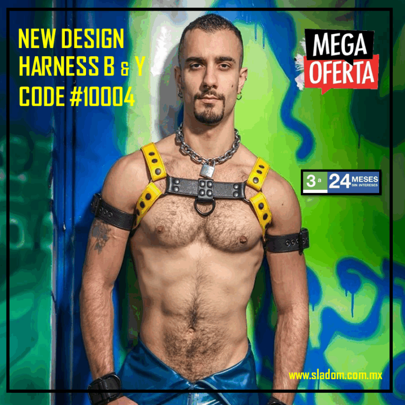 Arnés de cuero English B & Y #10004 negro y amarillo